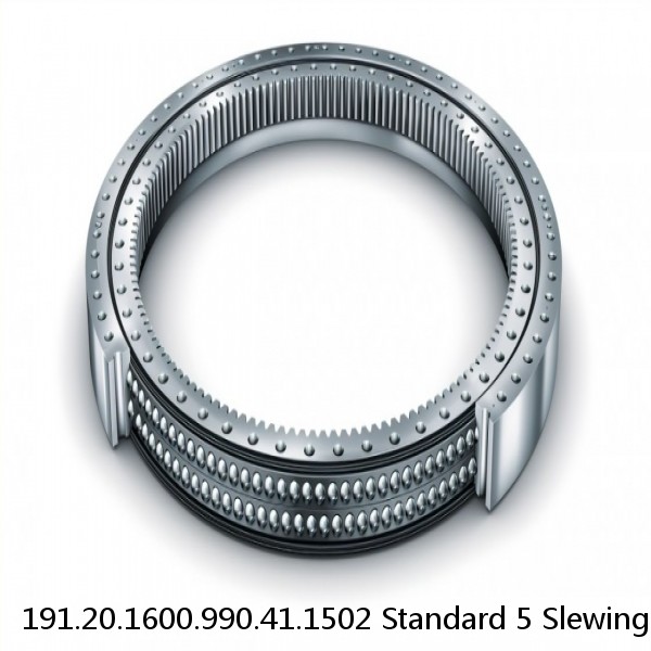 191.20.1600.990.41.1502 Standard 5 Slewing Ring Bearings