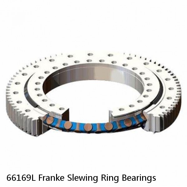 66169L Franke Slewing Ring Bearings