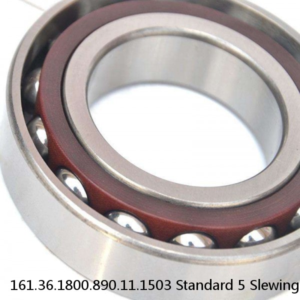 161.36.1800.890.11.1503 Standard 5 Slewing Ring Bearings