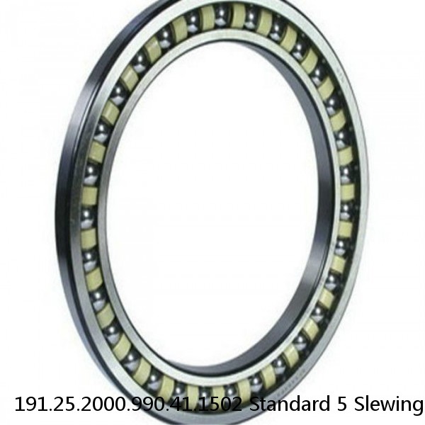 191.25.2000.990.41.1502 Standard 5 Slewing Ring Bearings