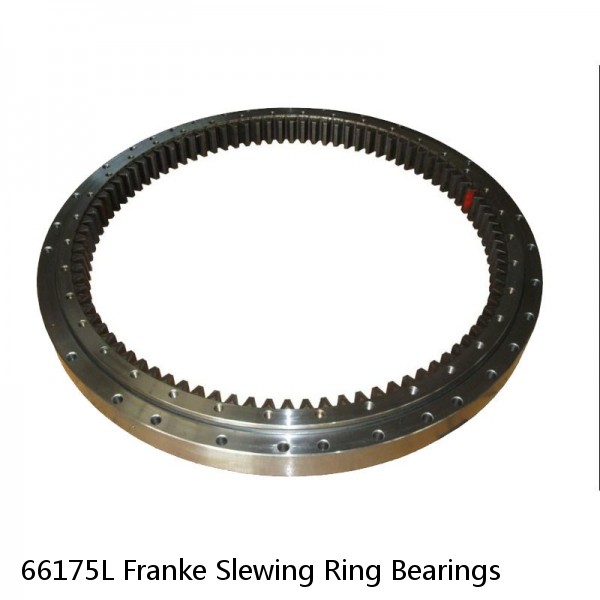 66175L Franke Slewing Ring Bearings