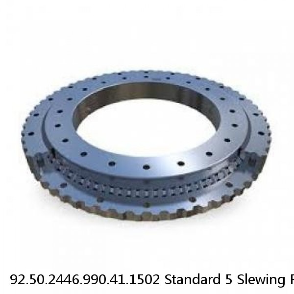 92.50.2446.990.41.1502 Standard 5 Slewing Ring Bearings