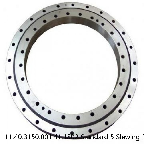 11.40.3150.001.41.1502 Standard 5 Slewing Ring Bearings