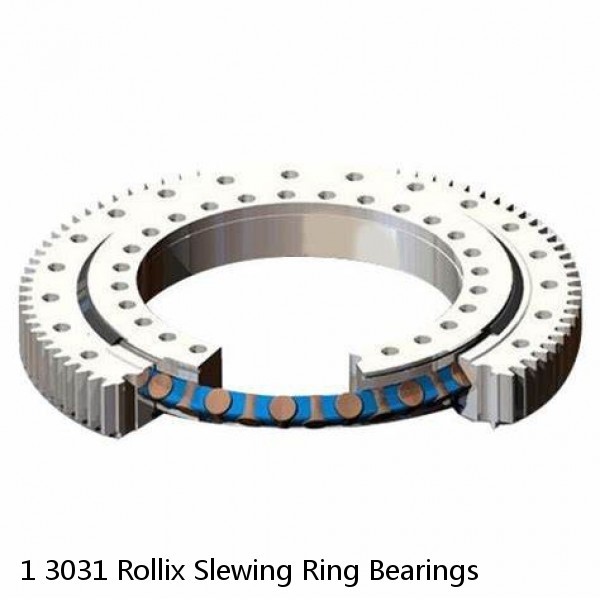 1 3031 Rollix Slewing Ring Bearings