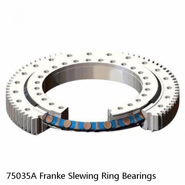 75035A Franke Slewing Ring Bearings