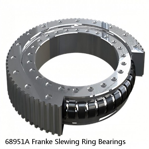 68951A Franke Slewing Ring Bearings