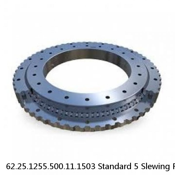 62.25.1255.500.11.1503 Standard 5 Slewing Ring Bearings #1 small image