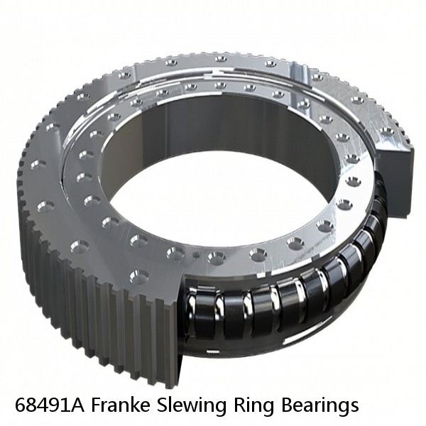 68491A Franke Slewing Ring Bearings #1 small image