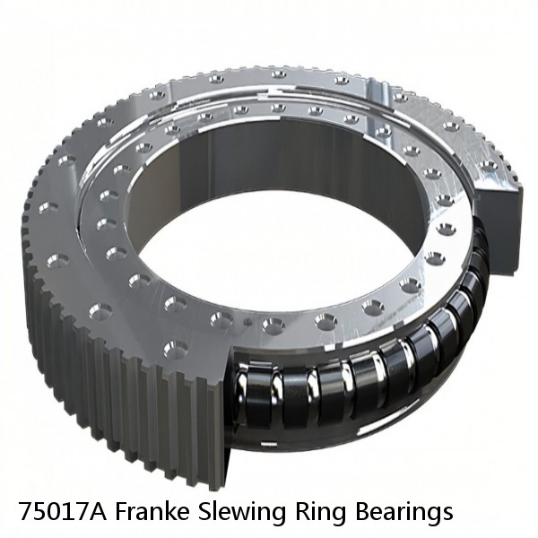 75017A Franke Slewing Ring Bearings #1 small image