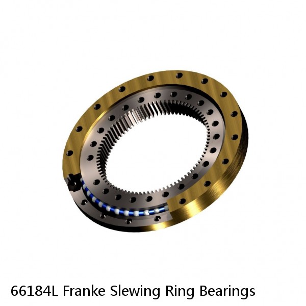 66184L Franke Slewing Ring Bearings #1 small image