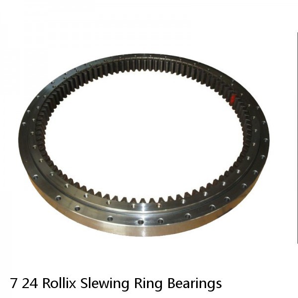 7 24 Rollix Slewing Ring Bearings #1 small image