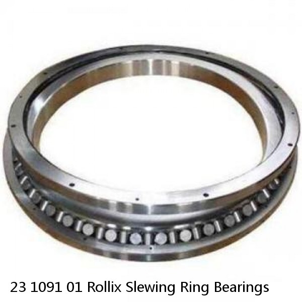 23 1091 01 Rollix Slewing Ring Bearings