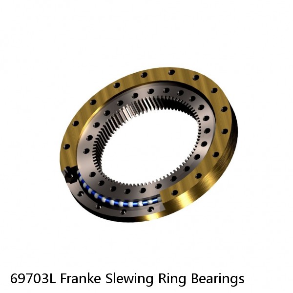 69703L Franke Slewing Ring Bearings #1 small image