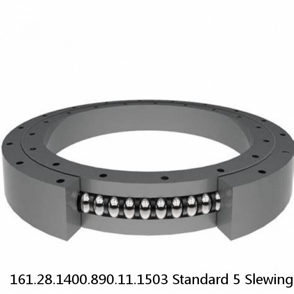 161.28.1400.890.11.1503 Standard 5 Slewing Ring Bearings #1 image