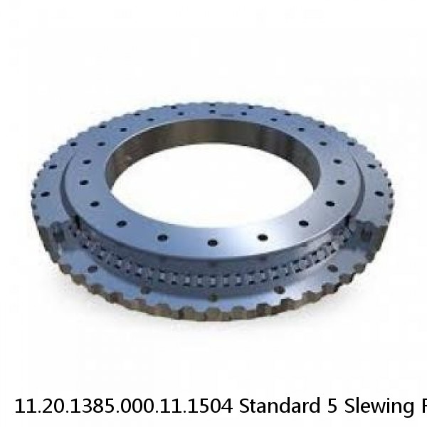 11.20.1385.000.11.1504 Standard 5 Slewing Ring Bearings #1 image