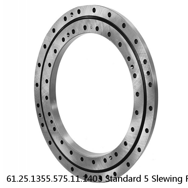 61.25.1355.575.11.1403 Standard 5 Slewing Ring Bearings #1 image