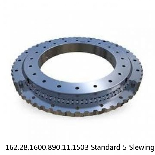 162.28.1600.890.11.1503 Standard 5 Slewing Ring Bearings #1 image