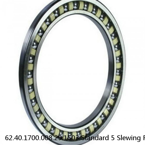 62.40.1700.008.29.1503 Standard 5 Slewing Ring Bearings #1 image