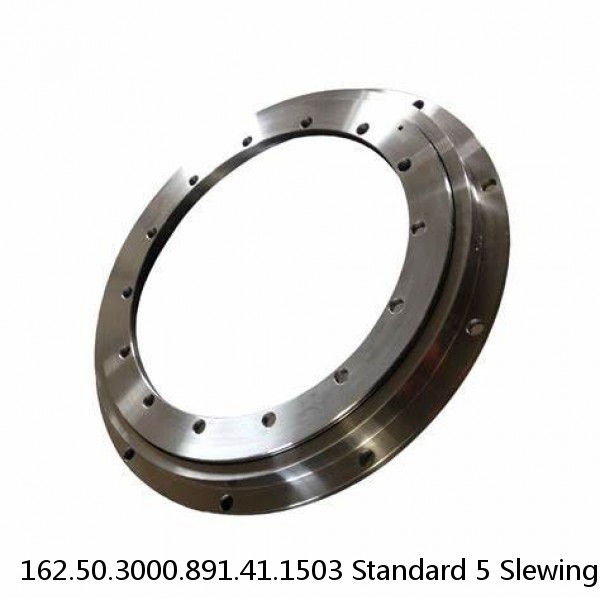 162.50.3000.891.41.1503 Standard 5 Slewing Ring Bearings #1 image