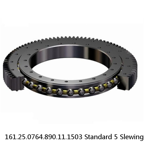 161.25.0764.890.11.1503 Standard 5 Slewing Ring Bearings #1 image