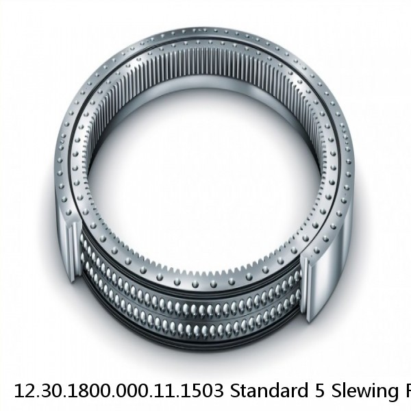 12.30.1800.000.11.1503 Standard 5 Slewing Ring Bearings #1 image