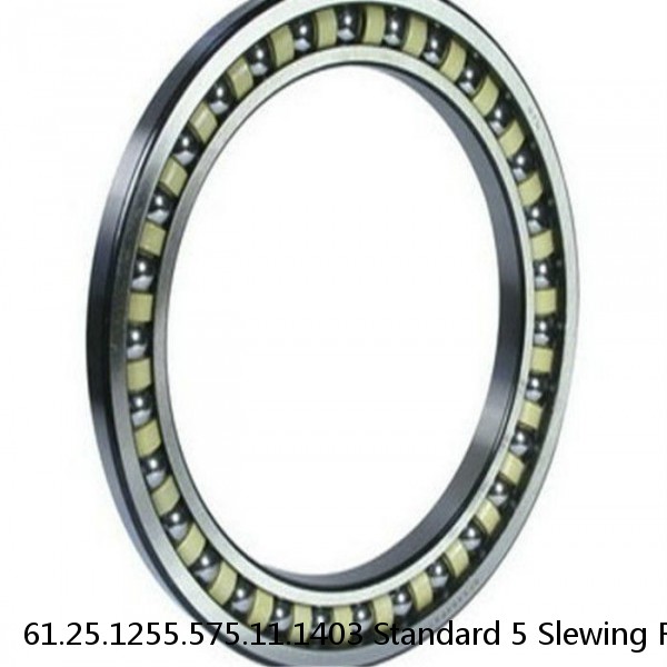 61.25.1255.575.11.1403 Standard 5 Slewing Ring Bearings #1 image