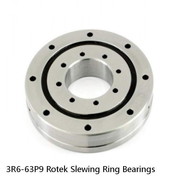 3R6-63P9 Rotek Slewing Ring Bearings #1 image