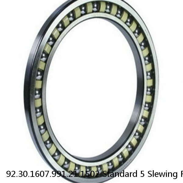 92.30.1607.991.21.1502 Standard 5 Slewing Ring Bearings #1 image