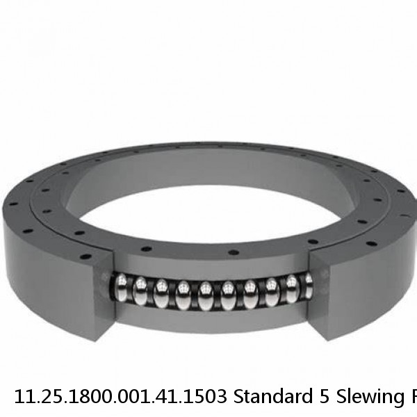 11.25.1800.001.41.1503 Standard 5 Slewing Ring Bearings #1 image