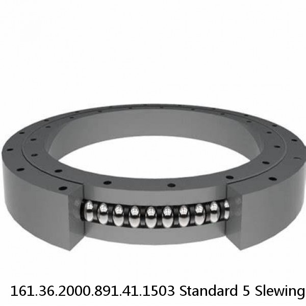 161.36.2000.891.41.1503 Standard 5 Slewing Ring Bearings #1 image