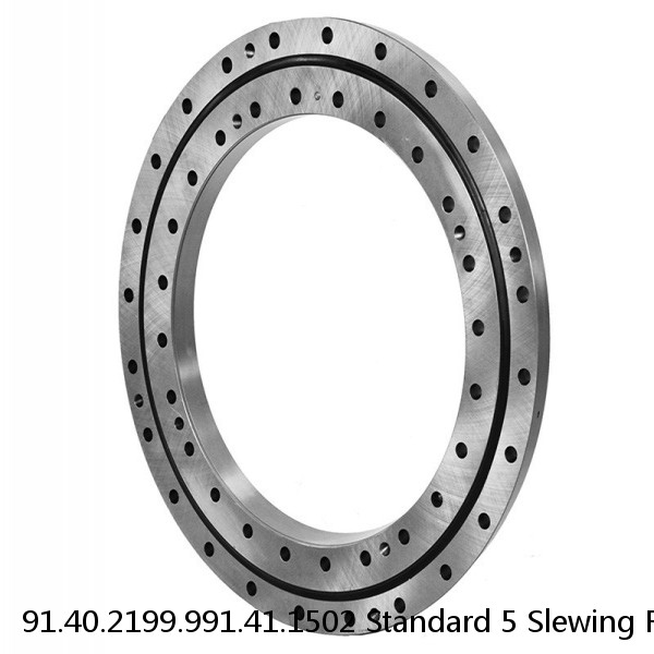 91.40.2199.991.41.1502 Standard 5 Slewing Ring Bearings #1 image