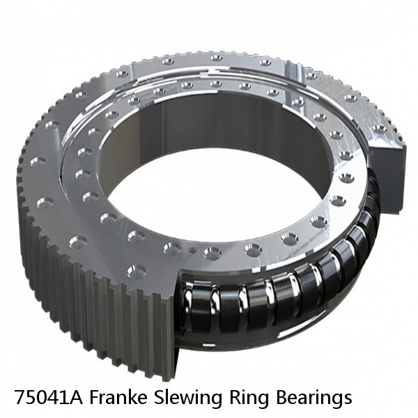 75041A Franke Slewing Ring Bearings #1 image