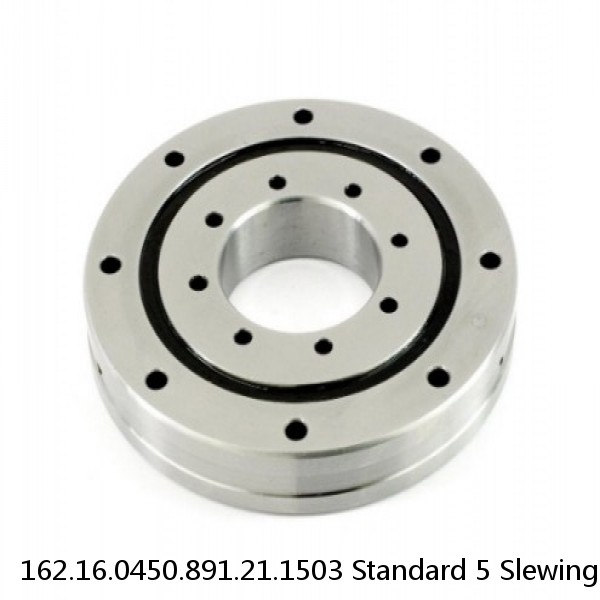 162.16.0450.891.21.1503 Standard 5 Slewing Ring Bearings #1 image