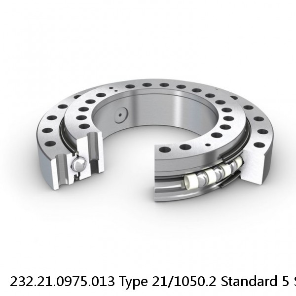 232.21.0975.013 Type 21/1050.2 Standard 5 Slewing Ring Bearings #1 image