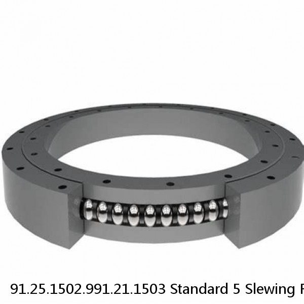 91.25.1502.991.21.1503 Standard 5 Slewing Ring Bearings #1 image