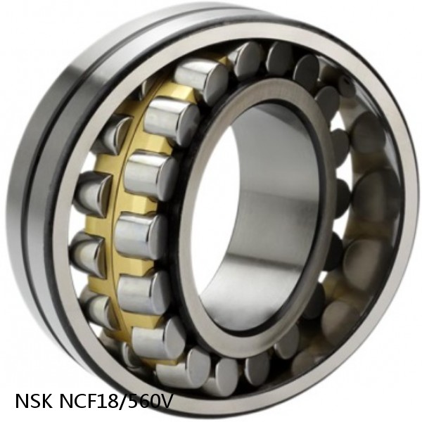 NCF18/560V NSK CYLINDRICAL ROLLER BEARING #1 image