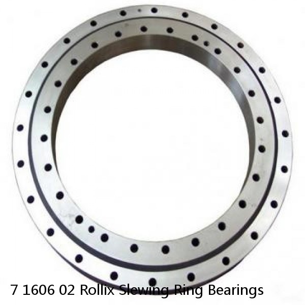 7 1606 02 Rollix Slewing Ring Bearings #1 image