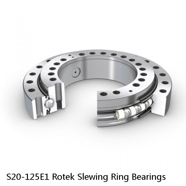 S20-125E1 Rotek Slewing Ring Bearings #1 image