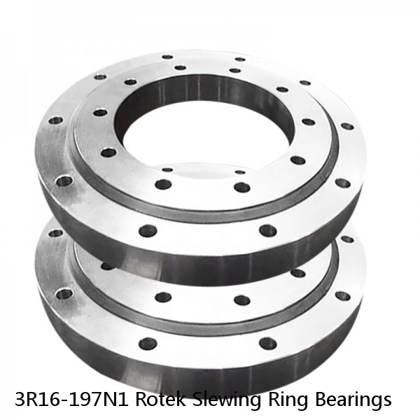 3R16-197N1 Rotek Slewing Ring Bearings #1 image