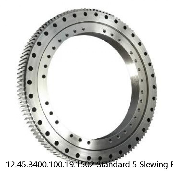 12.45.3400.100.19.1502 Standard 5 Slewing Ring Bearings #1 image