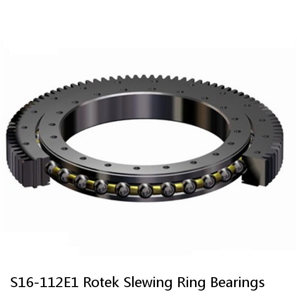 S16-112E1 Rotek Slewing Ring Bearings #1 image