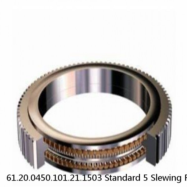 61.20.0450.101.21.1503 Standard 5 Slewing Ring Bearings #1 image