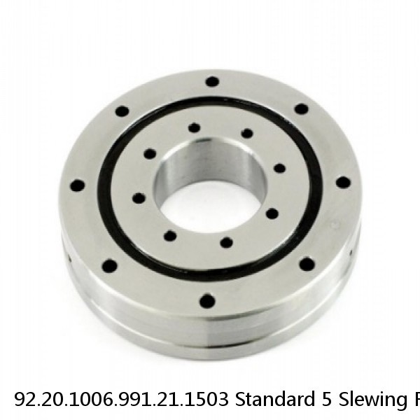 92.20.1006.991.21.1503 Standard 5 Slewing Ring Bearings #1 image