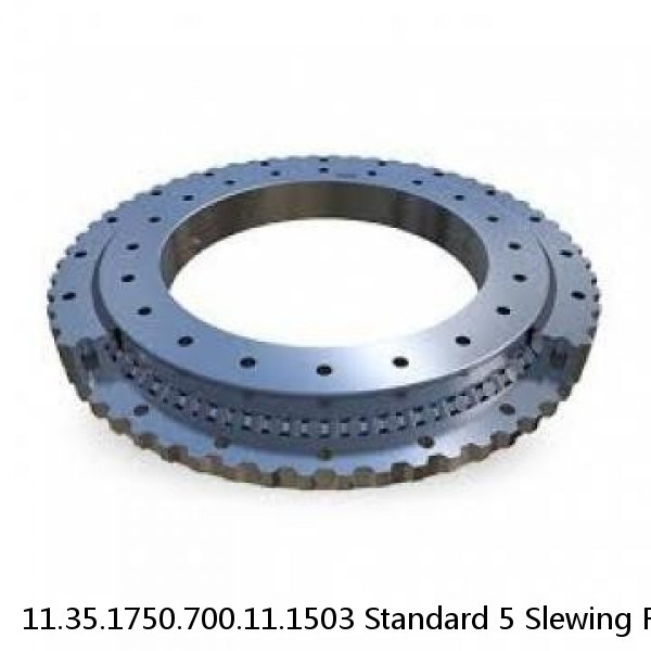 11.35.1750.700.11.1503 Standard 5 Slewing Ring Bearings #1 image