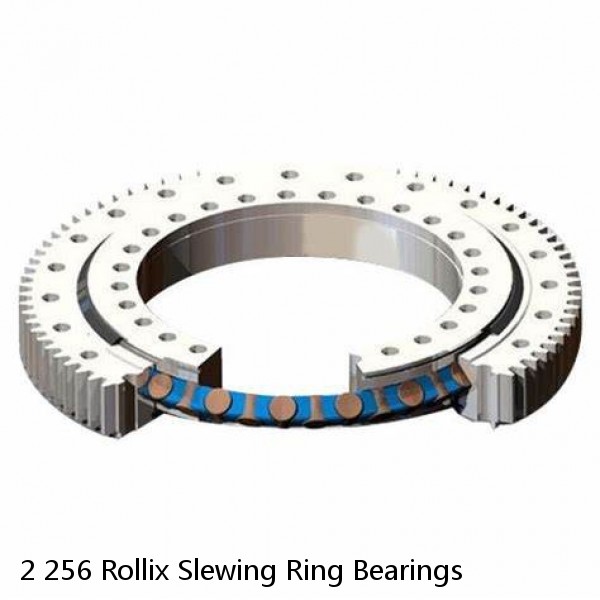 2 256 Rollix Slewing Ring Bearings #1 image