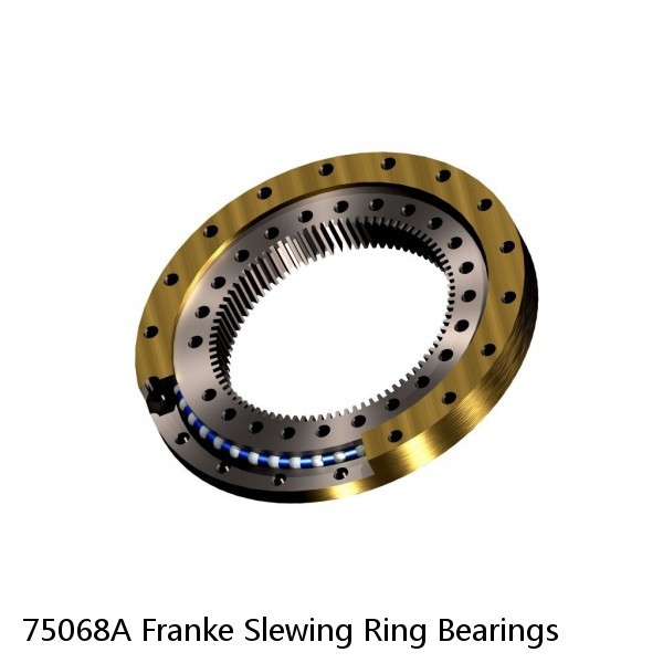 75068A Franke Slewing Ring Bearings #1 image