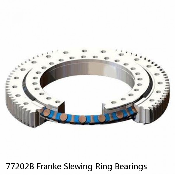 77202B Franke Slewing Ring Bearings #1 image